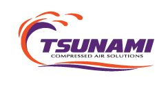 Tsunami -Timer Valve Assembly for 110v Dryer PN: 21999-0941